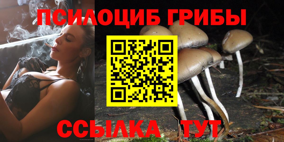 Галлюциногенные грибы Cubensis Киселёвск