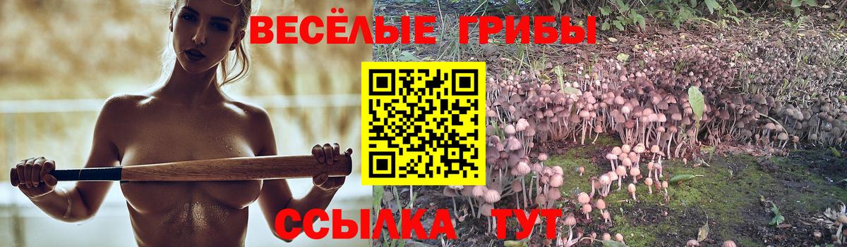 Галлюциногенные грибы мухоморы  Вход с VPN  Псилоцибиновые грибы прущие грибы  Киселёвск 